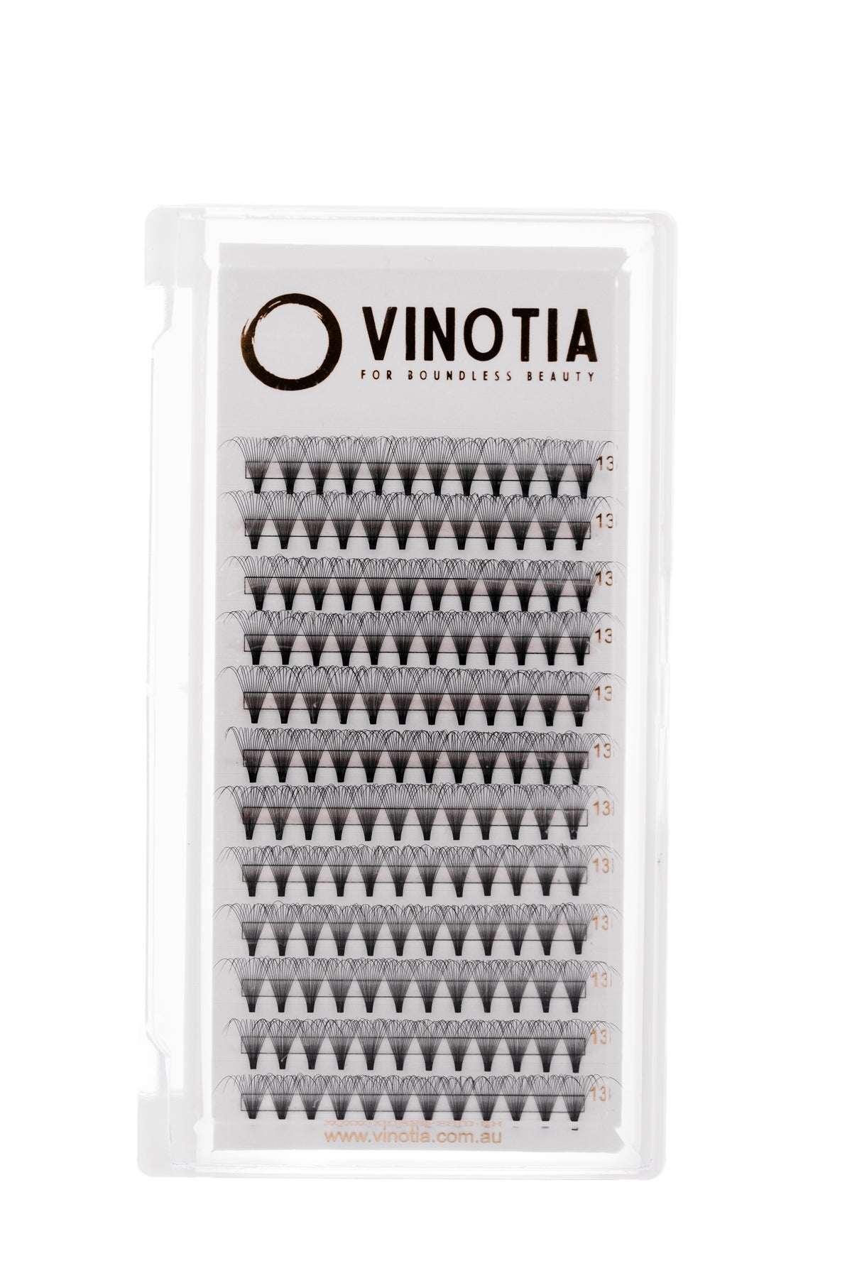 14D Lash Tray