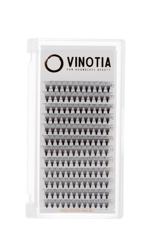 14D Lash Tray