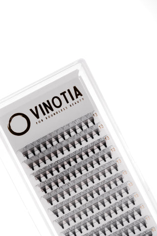 14D Lash Tray