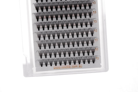 14D Lash Tray