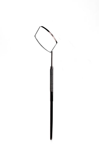 Lash Mirror