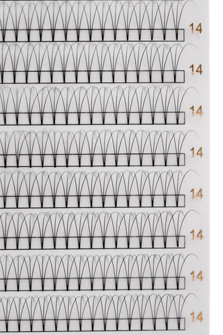 3D Lash Tray