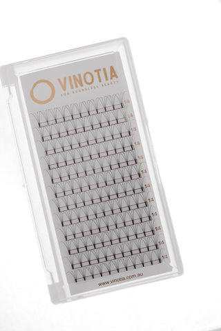4D Lash Tray