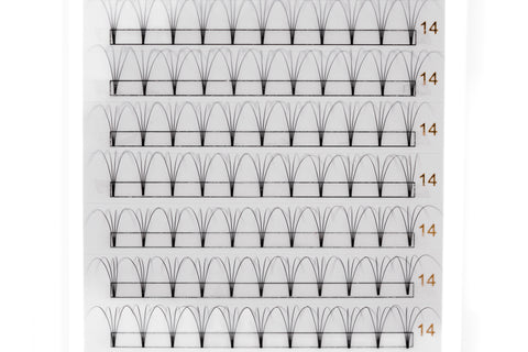 4D Lash Tray